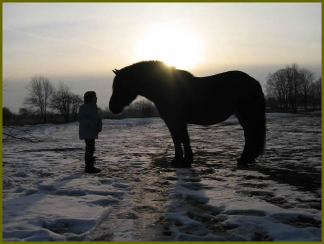picture of girl with horse as silouhette